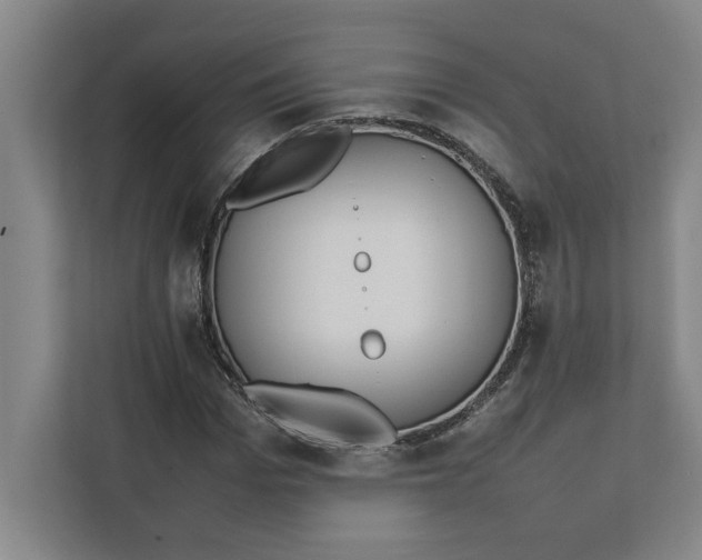 X0000112410969200909041353