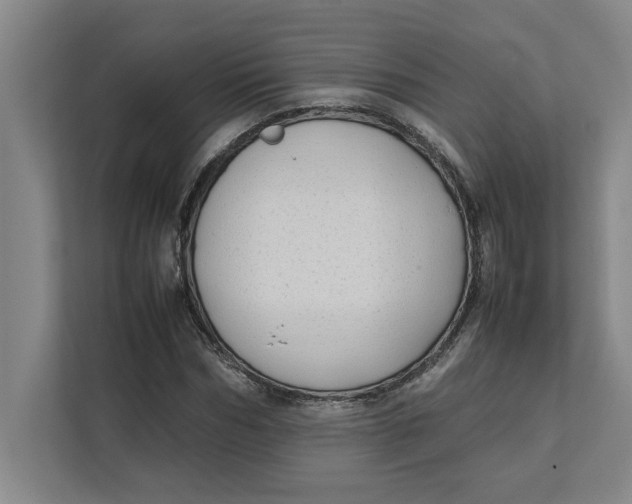 X0000112410970200909041353