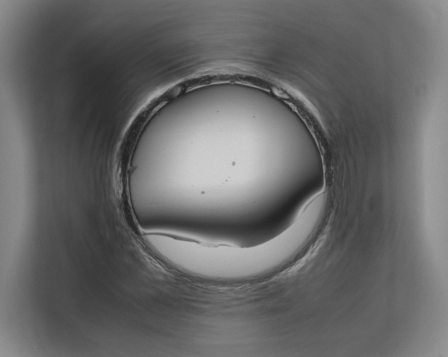 X0000112410973200909041353