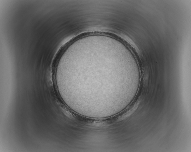 X0000112410974200909041353