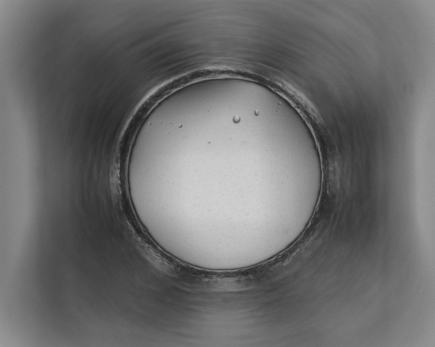 X0000112410976200909041353