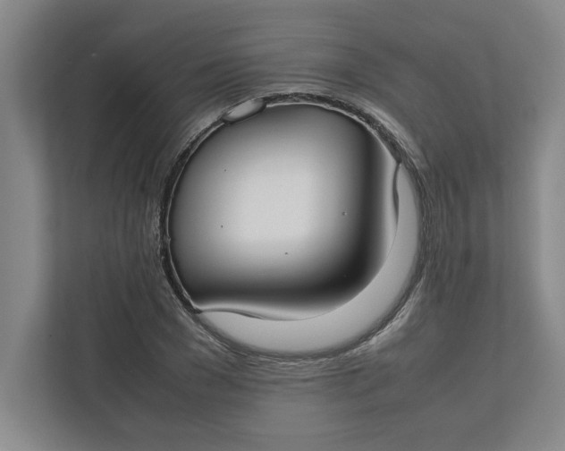 X0000112410977200909041353