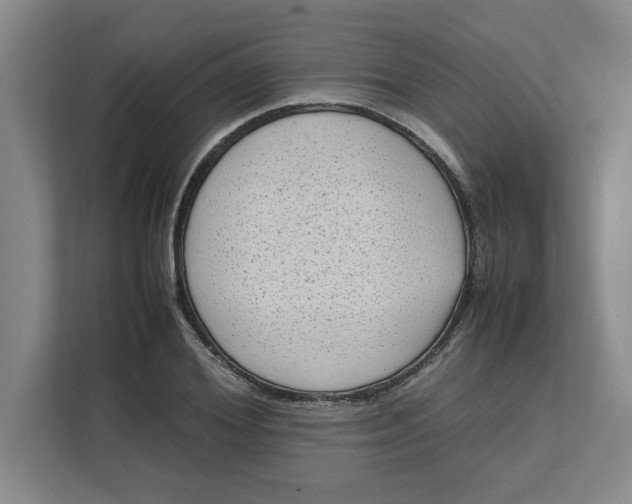 X0000112410980200909041353