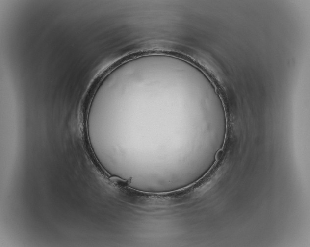 X0000112410981200909041353