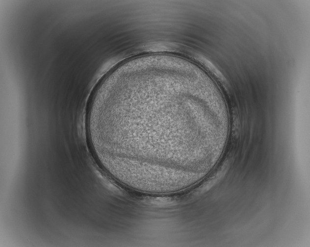 X0000112410986200909041353