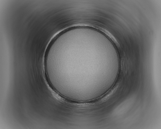 X0000112410988200909041353