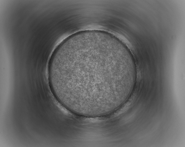 X0000112410990200909041353