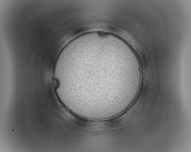 X0000112410993200909041352