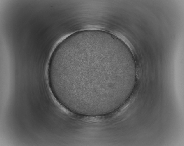 X0000112410995200909041352