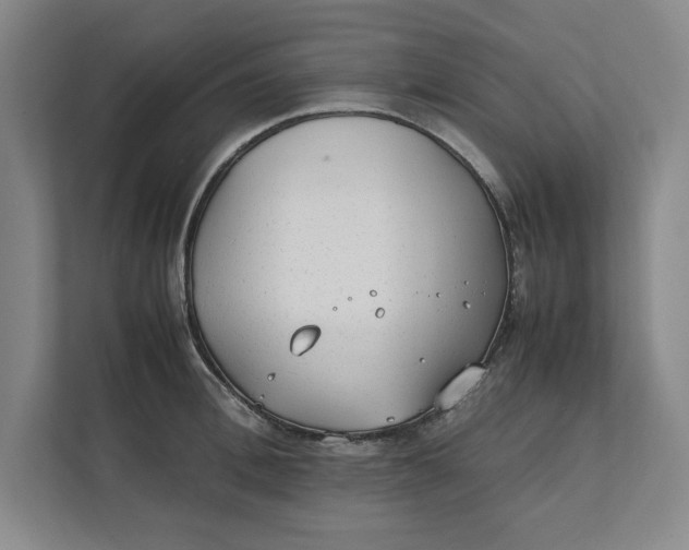 X0000112410996200909041352