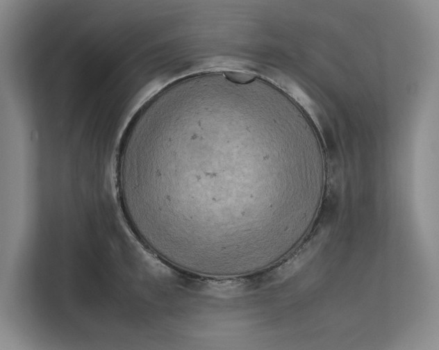 X0000112410997200909041352