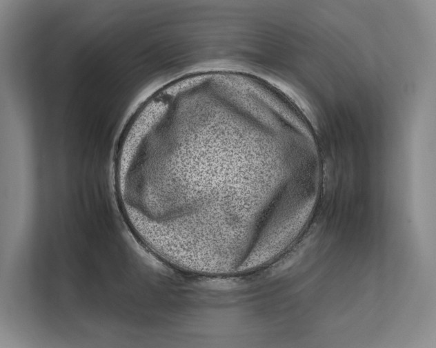 X0000112410998200909041352