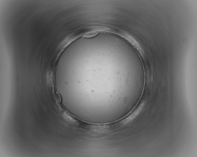 X0000112411001200909041352