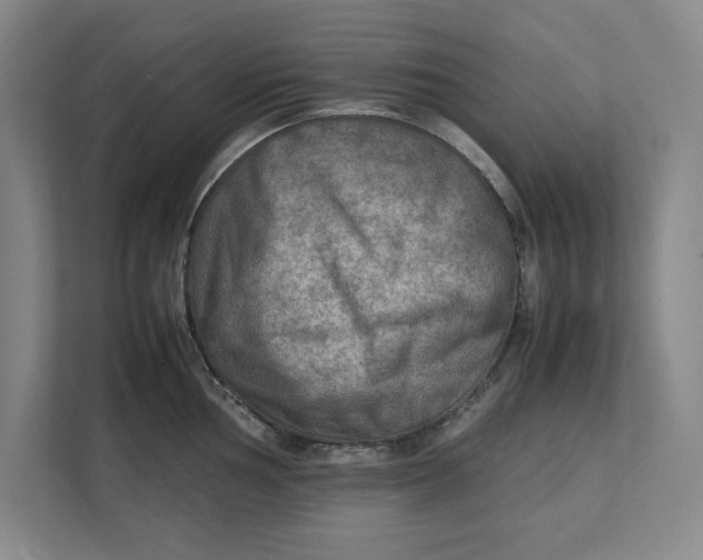 X0000112411002200909041352