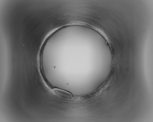 X0000112411003200909041352