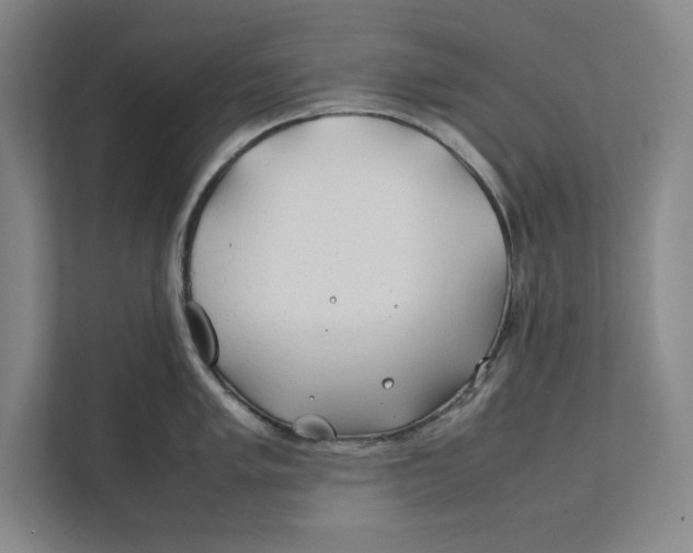 X0000112411005200909041352