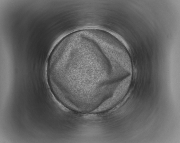 X0000112411006200909041352