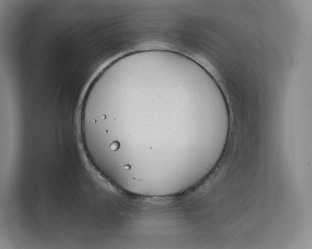 X0000112411008200909041352