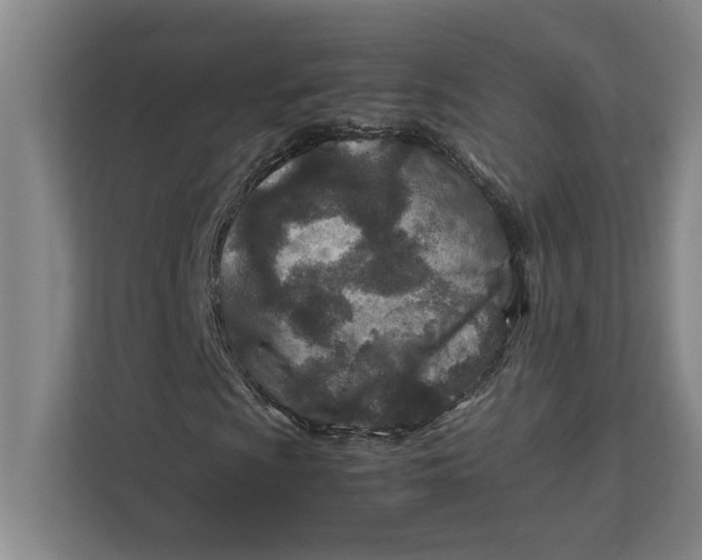 X0000112411009200909041352