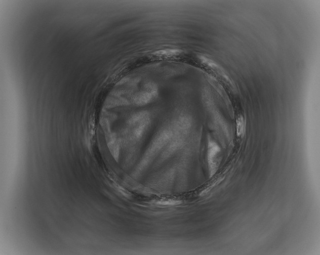 X0000112411011200909041352