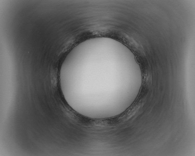 X0000112411012200909041352