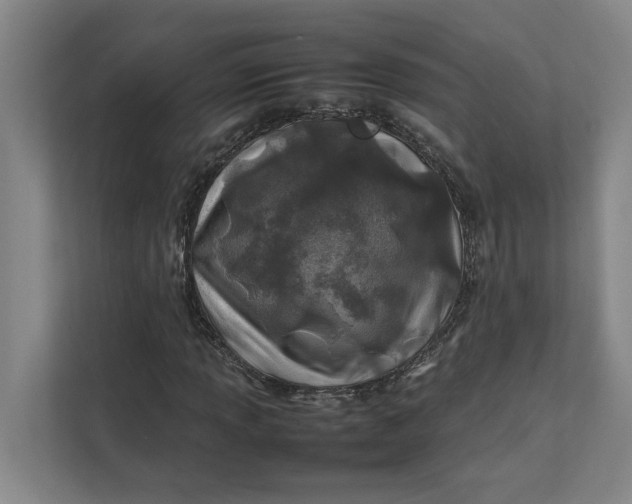 X0000112411013200909041352