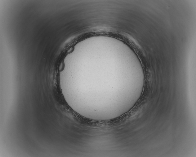 X0000112411016200909041352