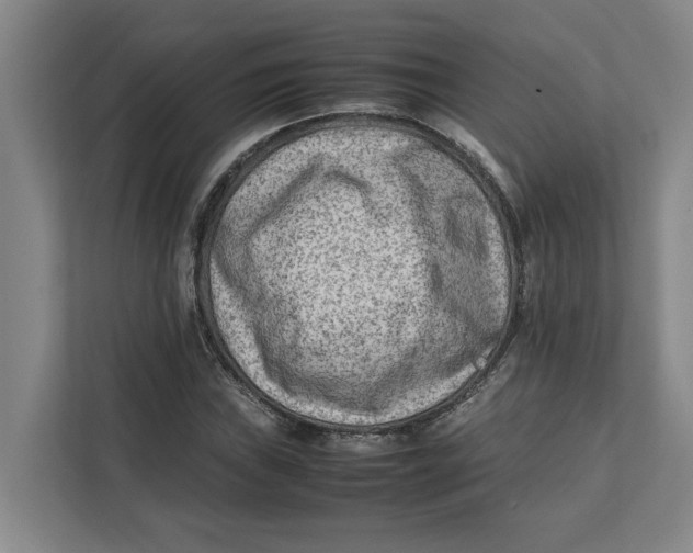 X0000112411019200909041352