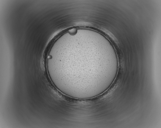 X0000112411022200909041352