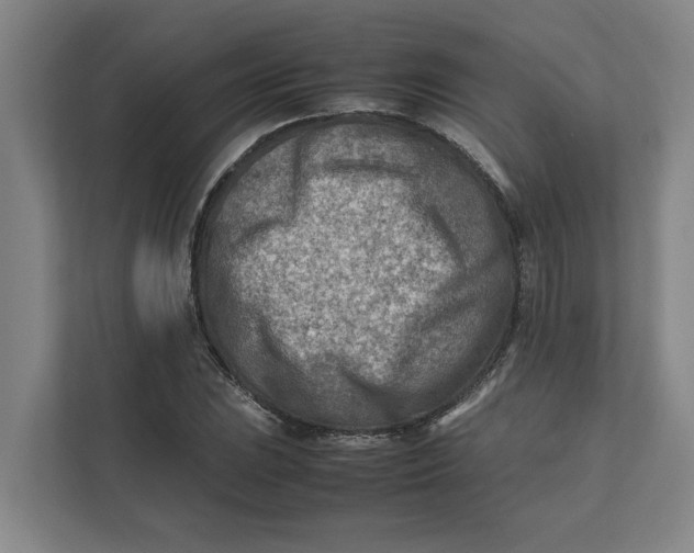 X0000112411023200909041352