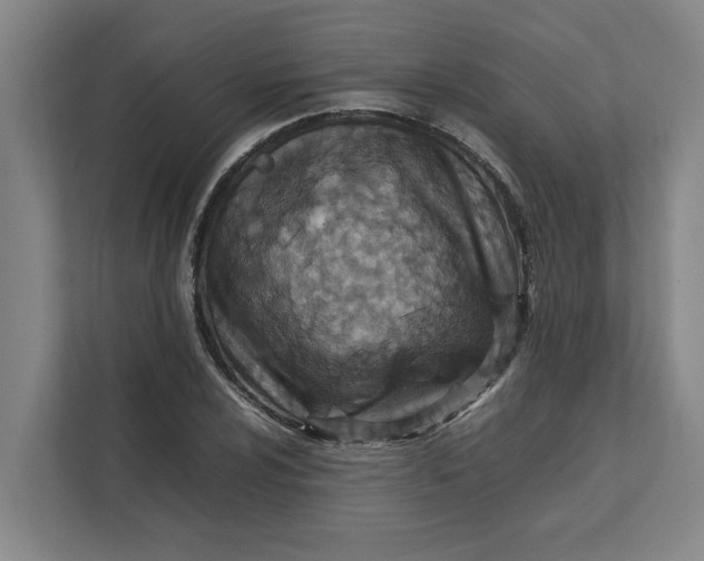 X0000112411024200909041352