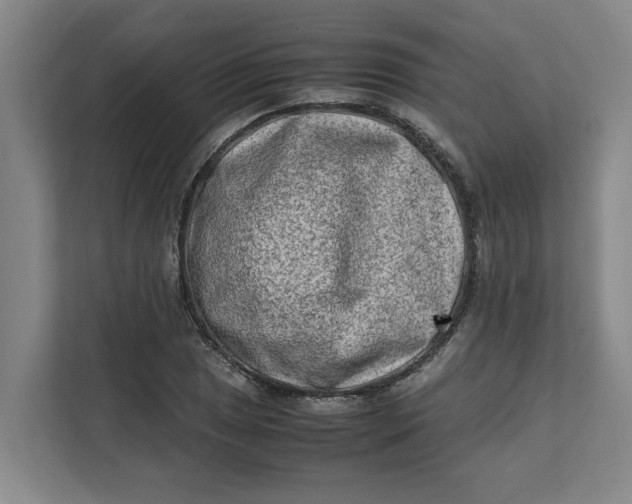 X0000112411025200909041352