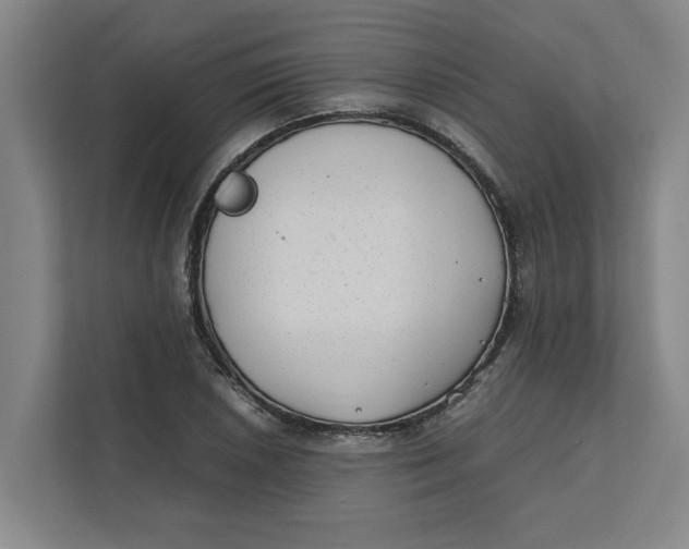 X0000112411026200909041352