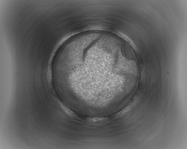 X0000112411027200909041352