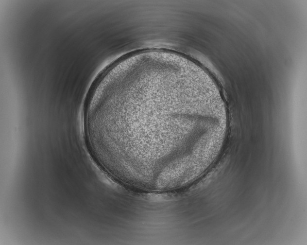 X0000112411032200909041352