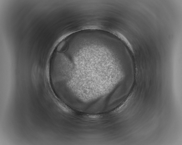 X0000112411035200909041352