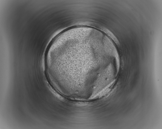 X0000112411036200909041352