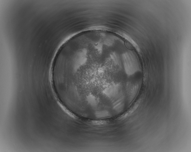 X0000112411037200909041352