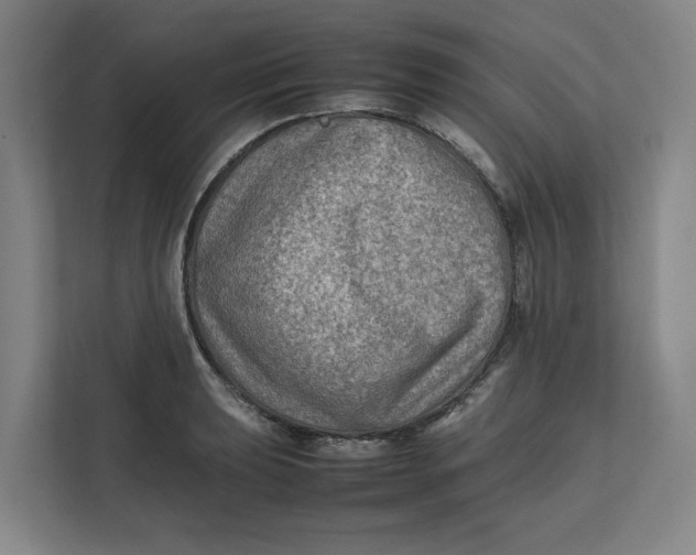 X0000112411039200909041352