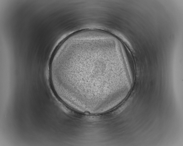 X0000112411040200909041352