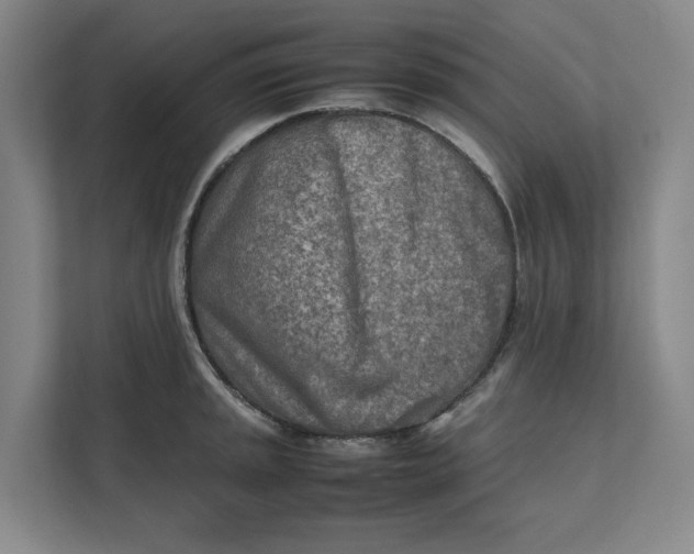 X0000112411045200909041352