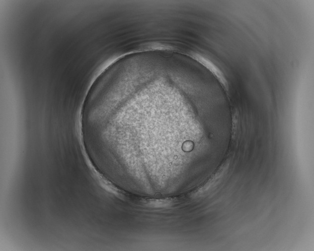 X0000112411047200909041352