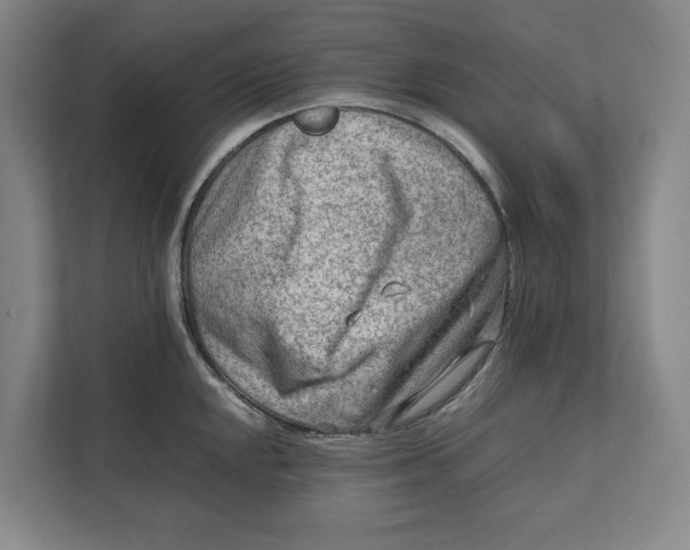 X0000112411048200909041352