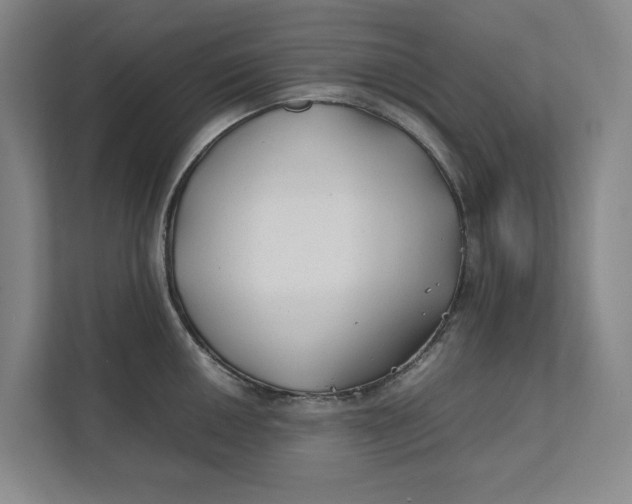 X0000112411050200909041352