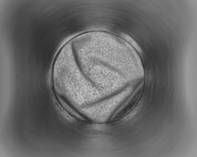 X0000112411052200909041352