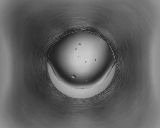 X0000112411060200909041352