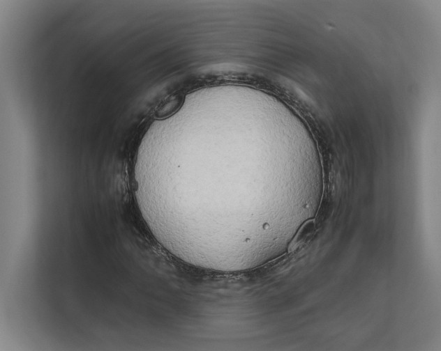 X0000112411062200909041352