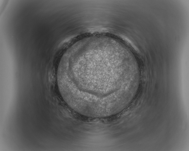 X0000112411063200909041352