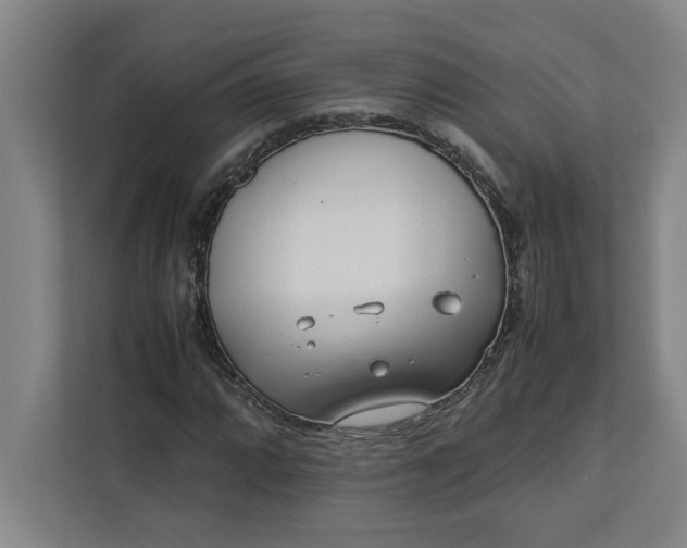 X0000112411064200909041352