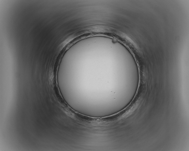 X0000112411065200909041352